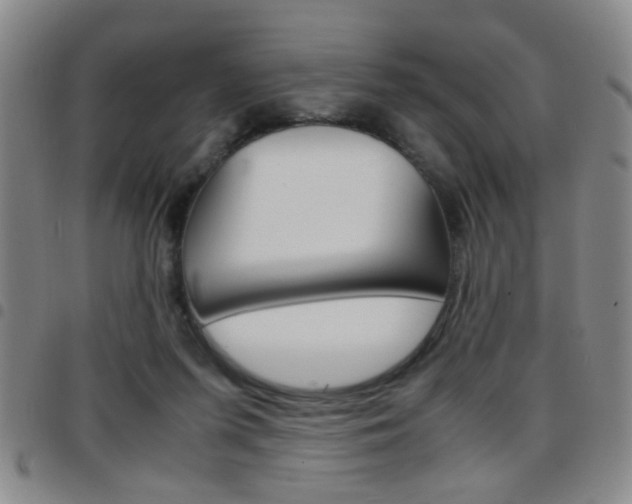 X0000097920215200803141038