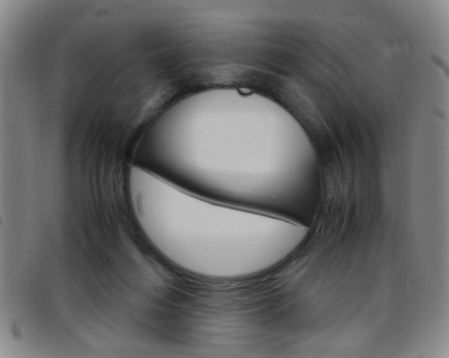 X0000097920216200803141038