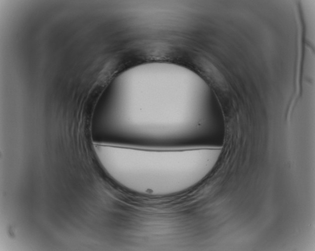 X0000097920217200803141038