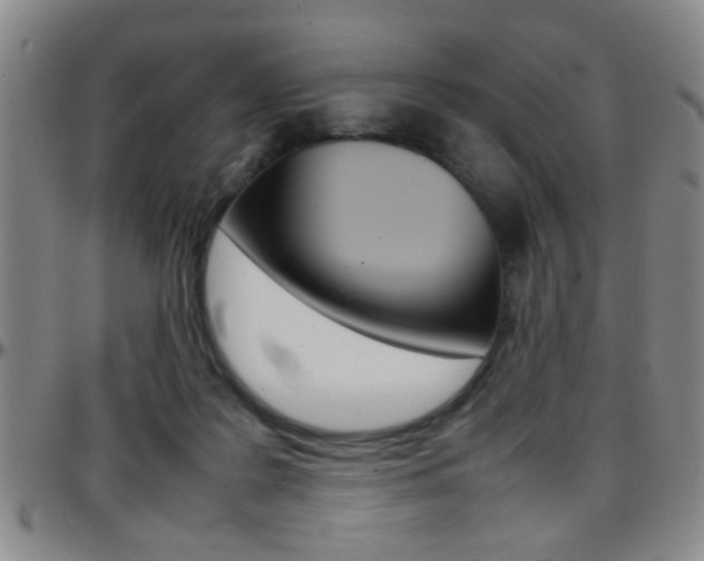 X0000097920219200803141038