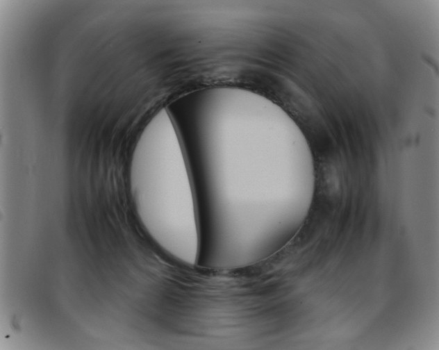 X0000097920224200803141038