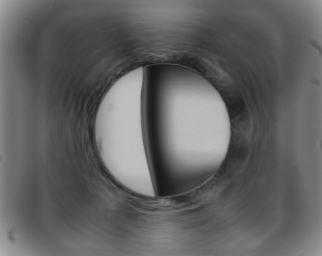 X0000097920225200803141038