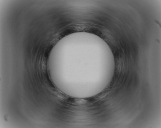 X0000097920226200803141038