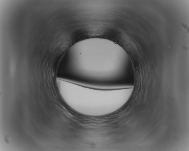 X0000097920227200803141038