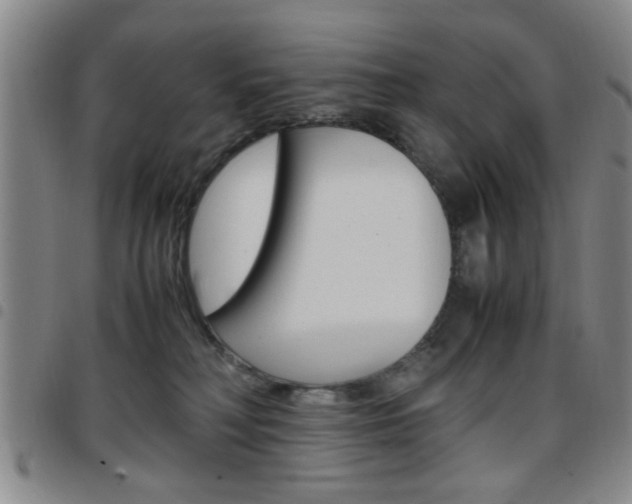 X0000097920230200803141038