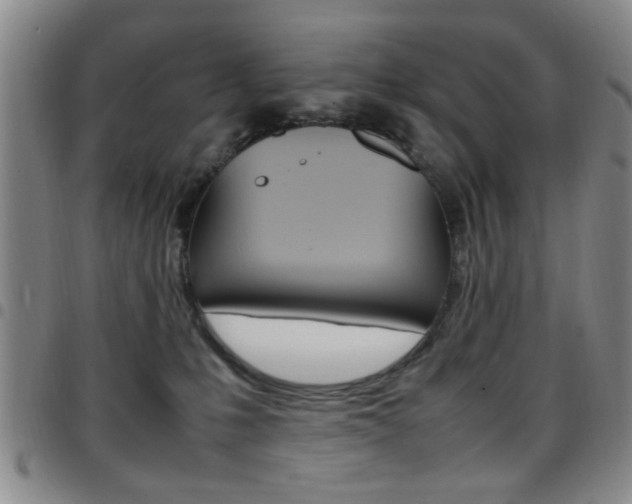 X0000097920231200803141038