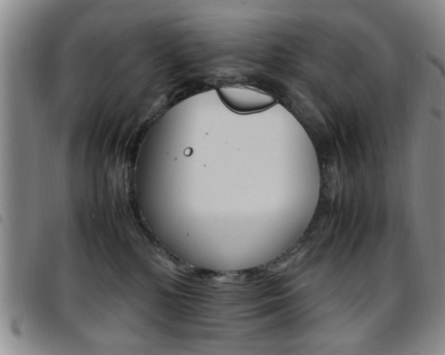 X0000097920232200803141038
