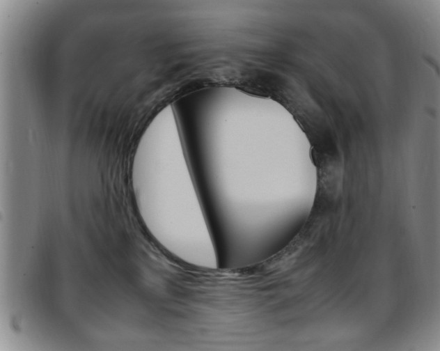 X0000097920233200803141038