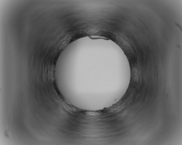 X0000097920234200803141038