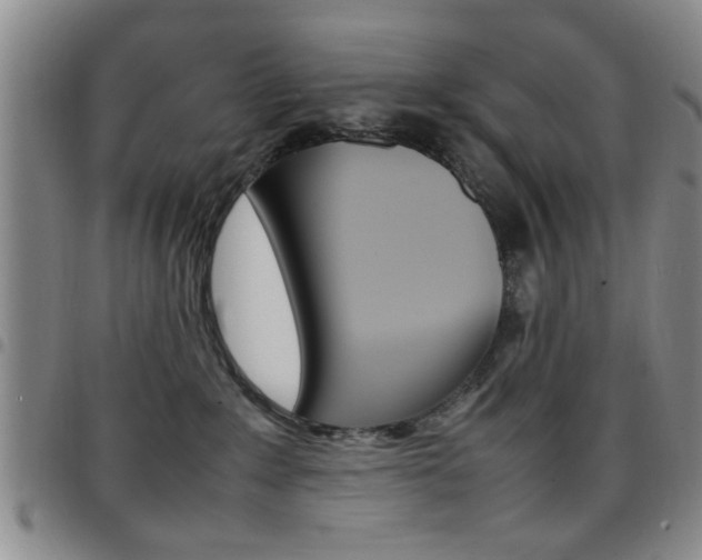 X0000097920235200803141038