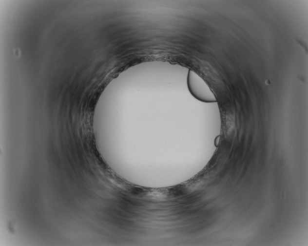 X0000097920236200803141037