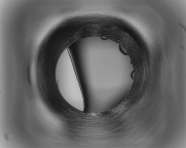 X0000097920239200803141037