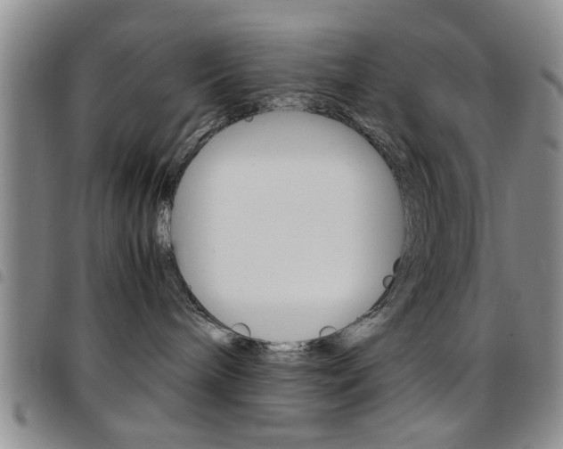X0000097920240200803141037