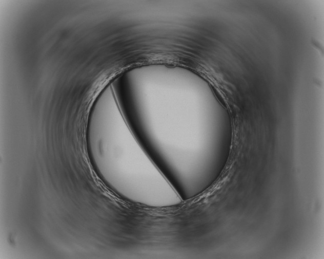 X0000097920241200803141037