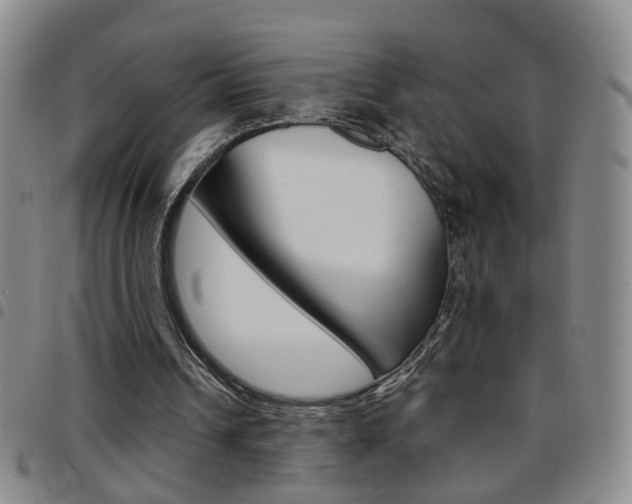 X0000097920242200803141037