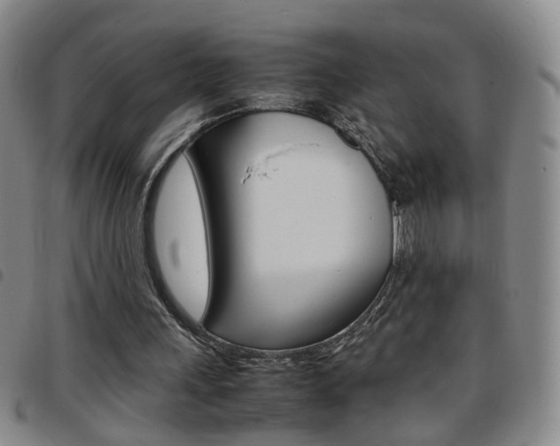 X0000097920243200803141037