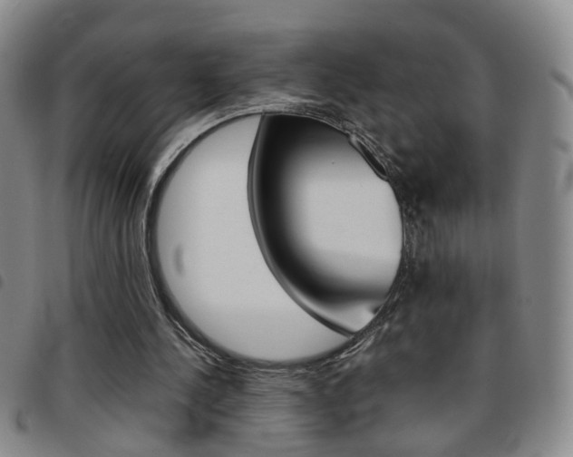 X0000097920244200803141037