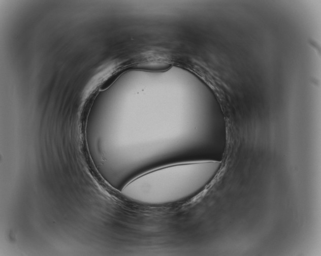 X0000097920245200803141037