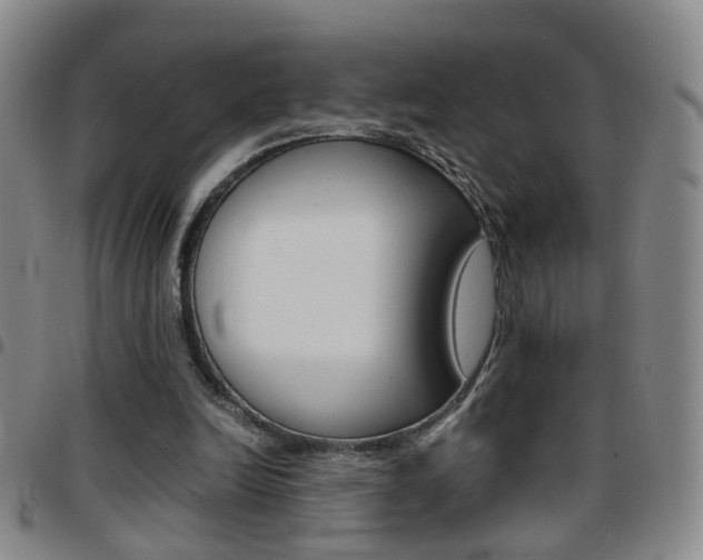 X0000097920246200803141037