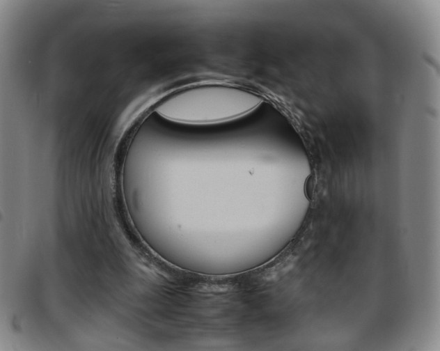 X0000097920247200803141037