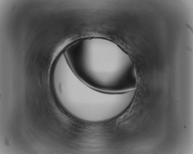 X0000097920248200803141037