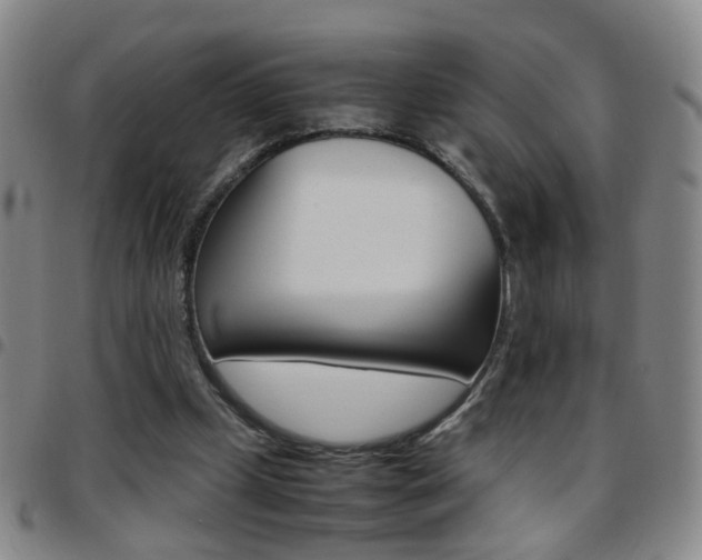 X0000097920249200803141037