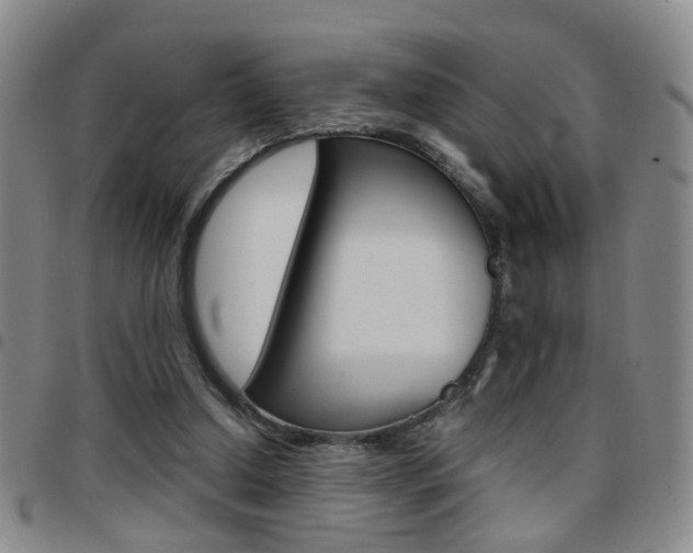 X0000097920250200803141037