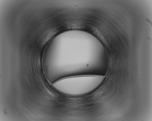 X0000097920251200803141037