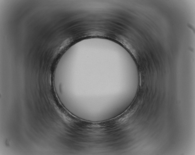 X0000097920253200803141037