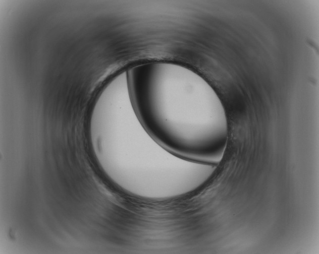 X0000097920256200803141037