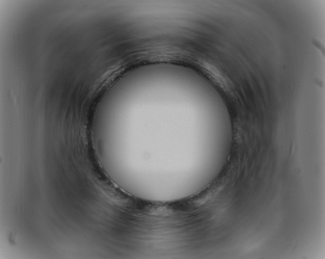 X0000097920258200803141037