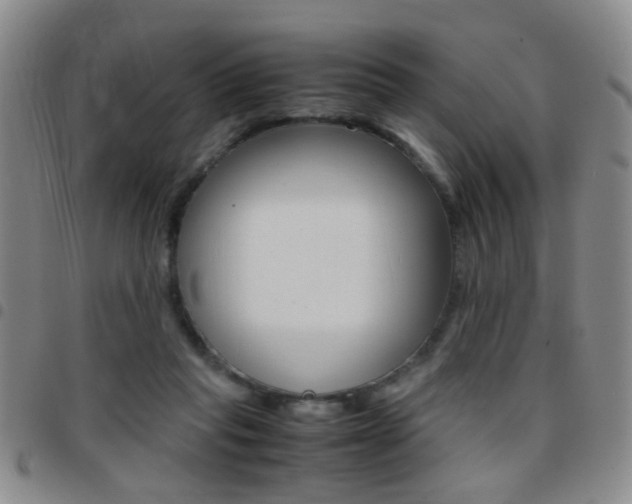 X0000097920261200803141037