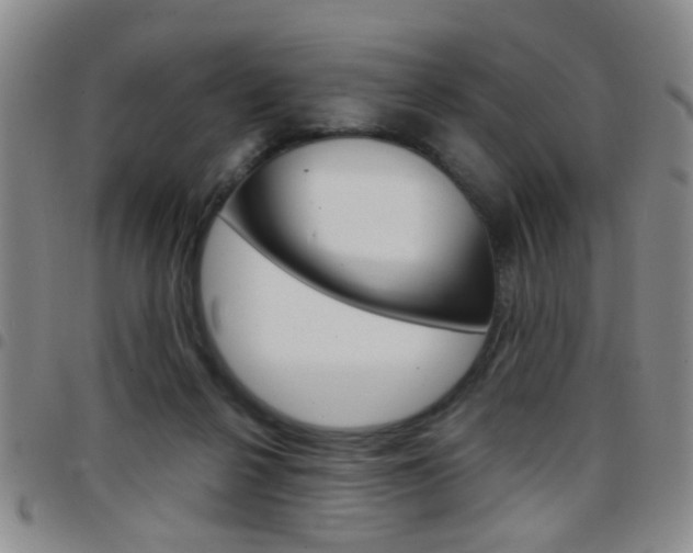 X0000097920264200803141037