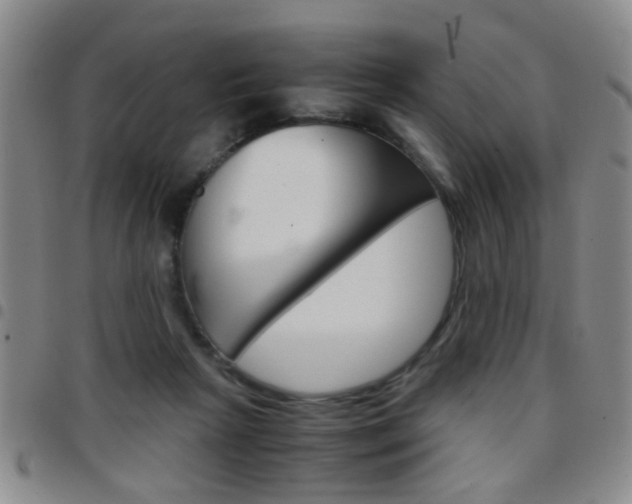 X0000097920265200803141037
