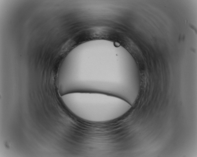 X0000097920266200803141037