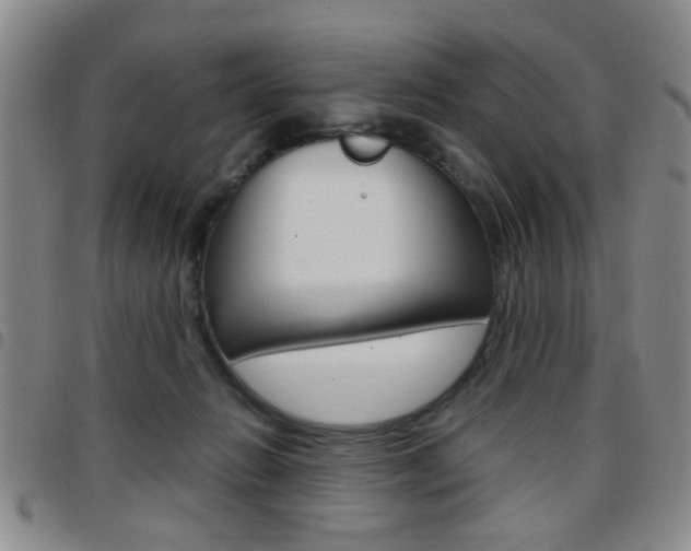 X0000097920270200803141037
