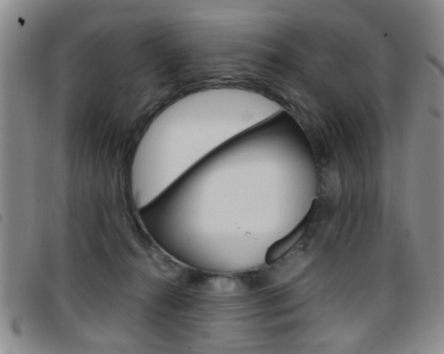 X0000097920272200803141037