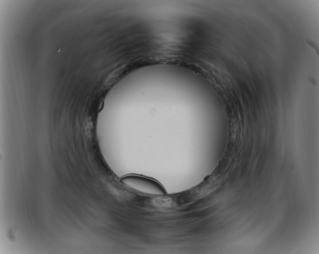 X0000097920279200803141037