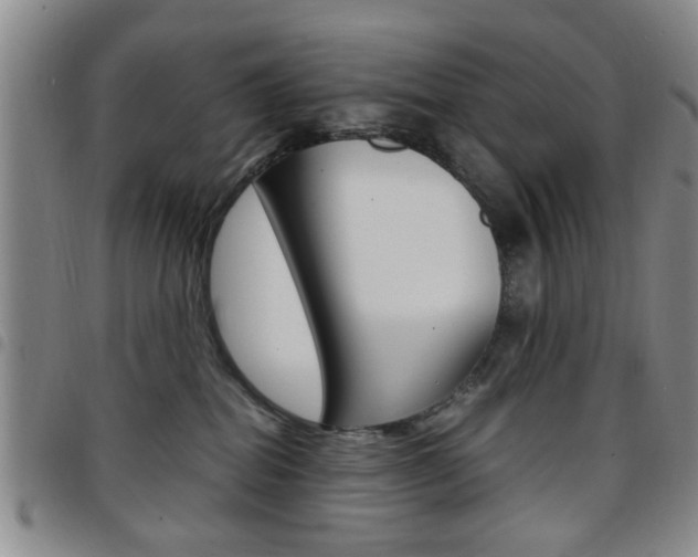 X0000097920282200803141037