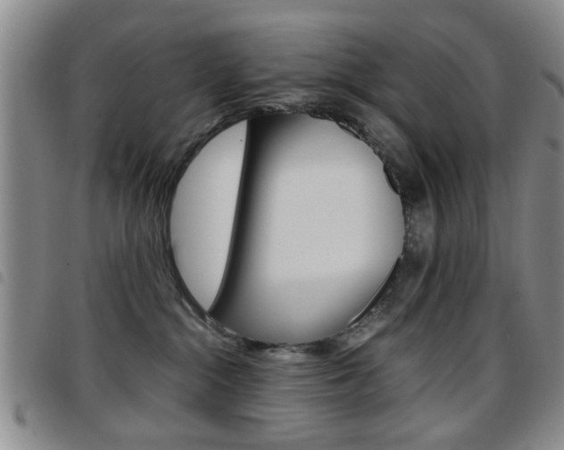 X0000097920284200803141037
