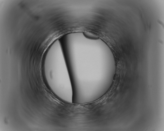 X0000097920290200803141037