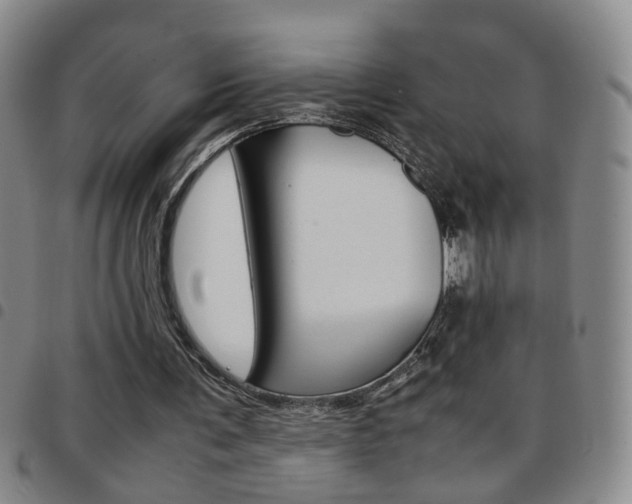 X0000097920291200803141037