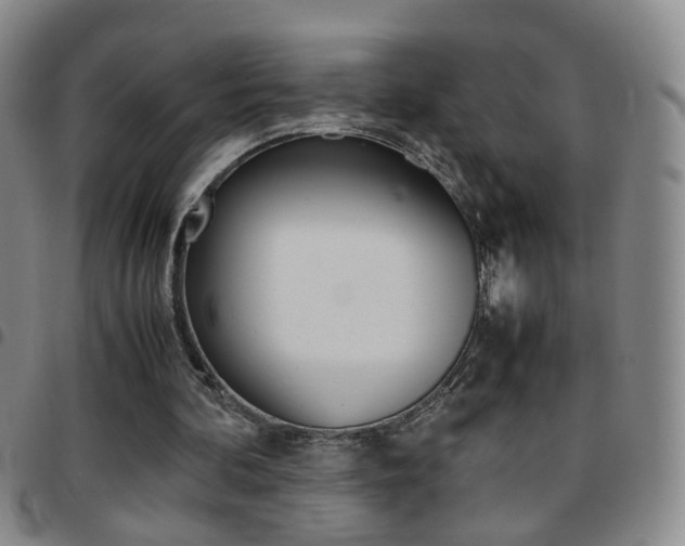 X0000097920292200803141037