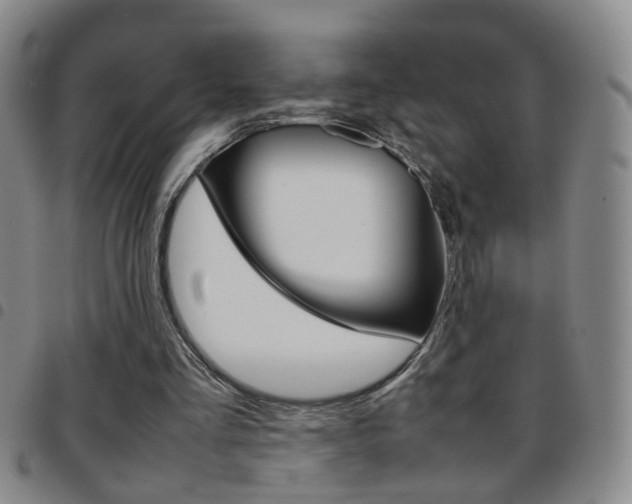 X0000097920293200803141037