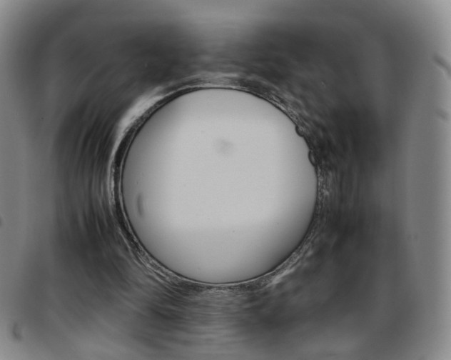 X0000097920294200803141037