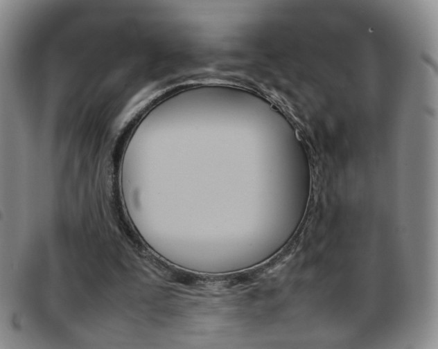 X0000097920295200803141037