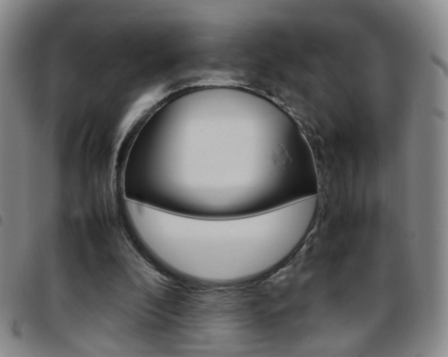 X0000097920296200803141037