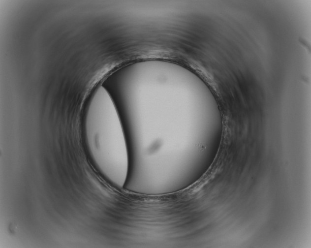 X0000097920298200803141036