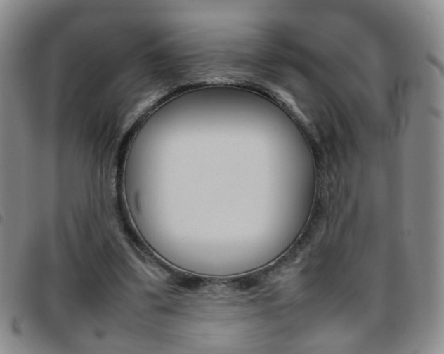 X0000097920299200803141036
