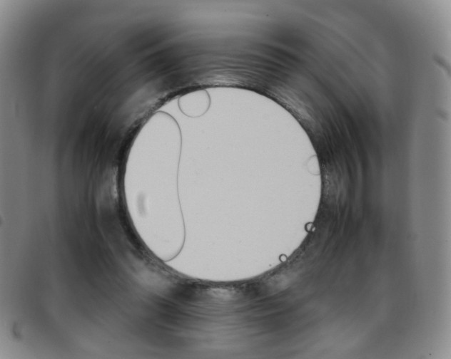 X0000097920302200803141036
